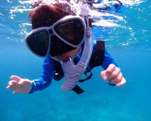 [Departing from Ishigaki City, Okinawa Prefecture] One-day snorkeling tour