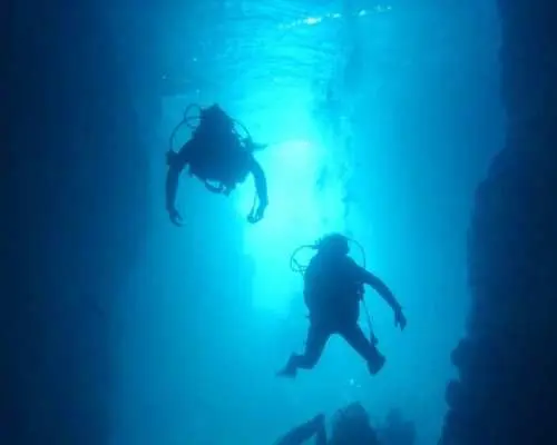 【沖縄・青の洞窟】沖縄で一番人気の”青の洞窟”へ！インストラクター貸切！完全サポート体験ダイビング