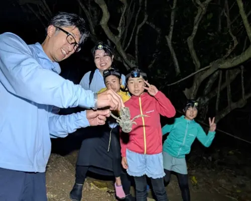 【沖縄県・石垣市】1組限定貸切りナイトツアー・ご家族カップルオススメ・夜の石垣島を観察しよう！