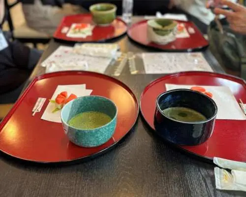 Discover Toyama Downtown Walking Day Tour with English Guide