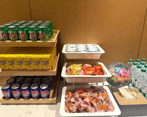 南京祿口國際機場(NKG) | Terminal 1 | V9 Business Lounge | 貴賓室服務