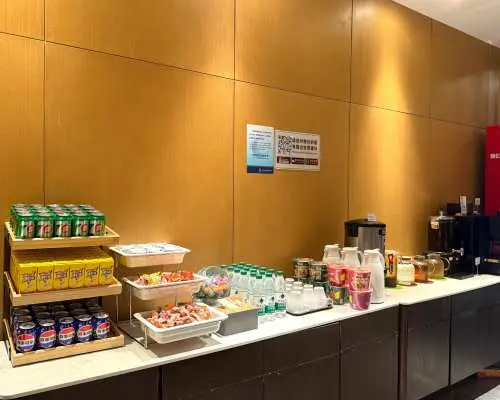 南京祿口國際機場(NKG) | Terminal 1 | V9 Business Lounge | 貴賓室服務