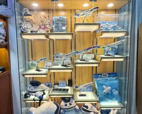 三亞鳳凰國際機場(SYX) | T2 | China Southern First Class,  Business Class,  Sky Pearl Member Lounge | 貴賓室服務