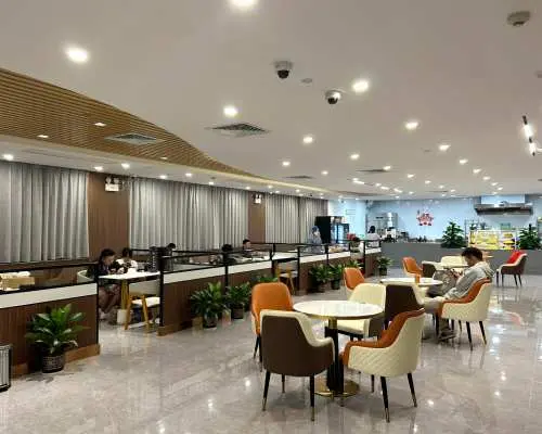 三亞鳳凰國際機場(SYX) | Terminal 1 | V1 First class lounge(T1 Domestic) | 貴賓室服務