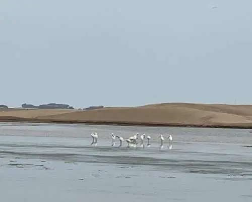 Essaouira Atlas Mountains 4x4 tour with local lunch