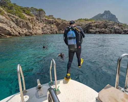 Scuba tour with one dive from Bonaire Harbour for certified divers