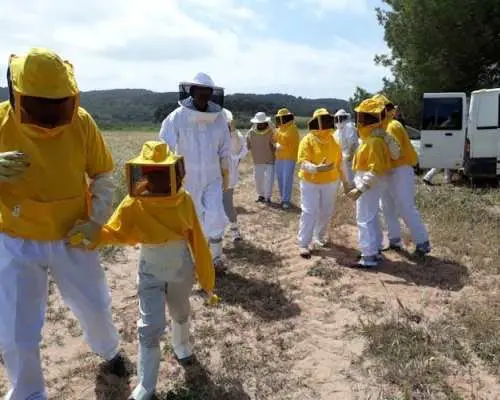 Beekeeping experience and honey-tasting in Menorca