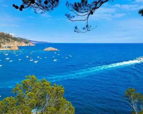 Guided tour around Nice's iconic landmarks with a local