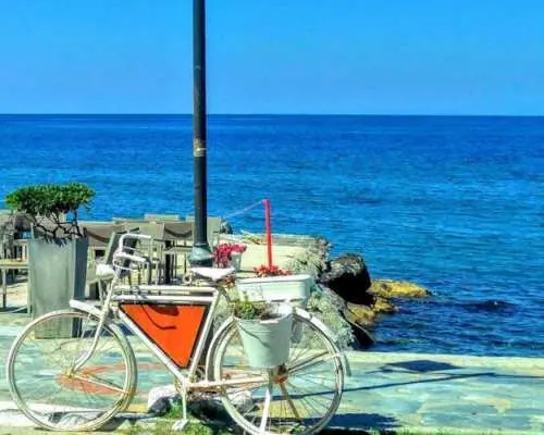 Guided tour around Nice's iconic landmarks with a local