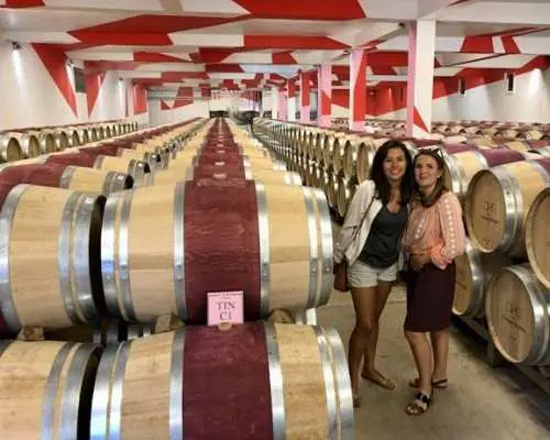 Private tour of Médoc vineyards with professional wine taster