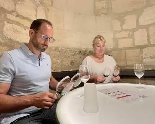 Private tour of Médoc vineyards with professional wine taster
