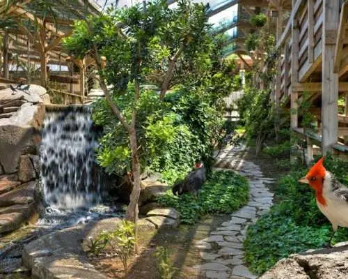 在纳瓦拉森达维瓦公园体验自助式自然之旅