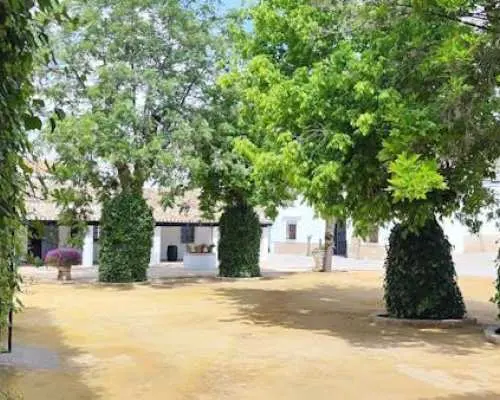 Half day trip to a winery from Seville