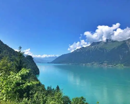Bönigen - Ringgenberg boat ticket Lake Brienz