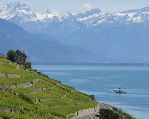 Boat trip ticket from Lausanne to Chillon Castle and back