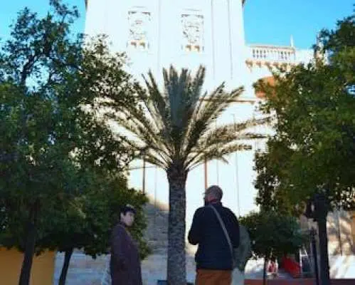 科尔多瓦清真寺大教堂和阿尔卡萨城堡导览游