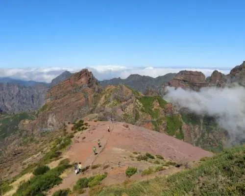 桑塔納生物圈保護區和阿里埃羅峰全天敞篷四輪傳動車之旅