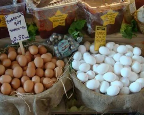与卡德柯伊（迦克墩）的宝藏一起享受美食之旅