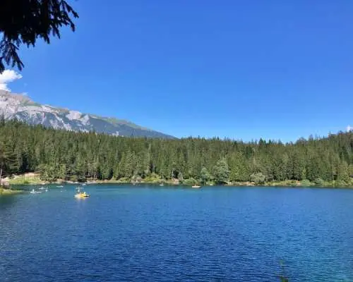 Culinary hike "Forest and Water" from Flims