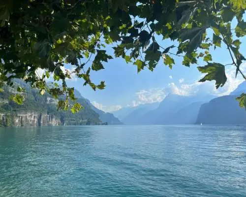 Day ticket Lake Lucerne by boat
