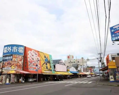 北海道札幌市經典景點一日遊（中/英文導遊）
