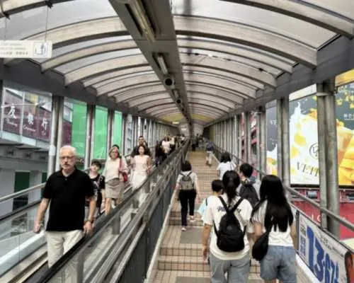 欲張りプラン！日本語ガイドと巡る セントラル・北角 街歩きツアー＜文武廟・ウォールアート・大館・春秧街・利強記北角鶏蛋仔・北角ウォーク・モンスターマンション・添好運ランチ付きプランあり＞ by パンダバス