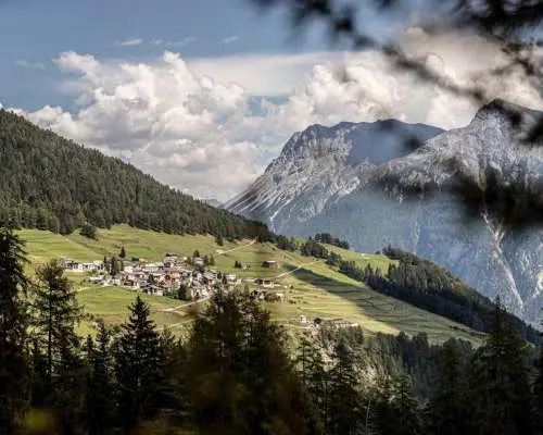Hike and stone deer observation in Engadin