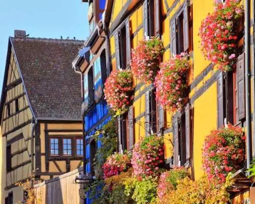Alsace full-day shared wine tour from Colmar