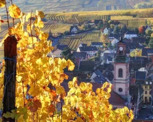 Alsace full-day shared wine tour from Colmar