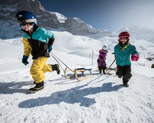 Jungfrau Travel Pass Winter - 3 to 8 Days