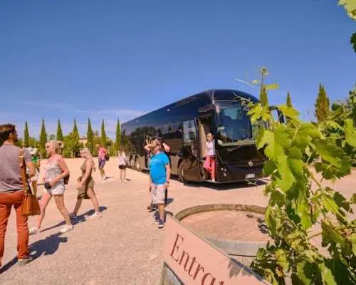 Day Trip to Pisa, Siena and San Gimignano with Optional Lunch
