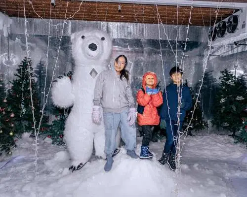 Snow Kingdom Phuket Admission Ticket | Thailand