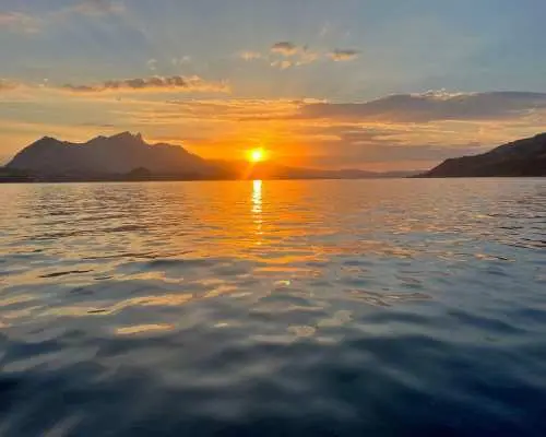 Private boat tour on Lake Thun from Merligen