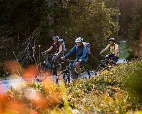 Self-Guided E-Bike Culinary Trail from Flims