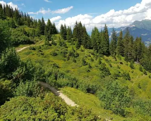Self-guided pleasure hike from Brambrüesch to Pradaschier