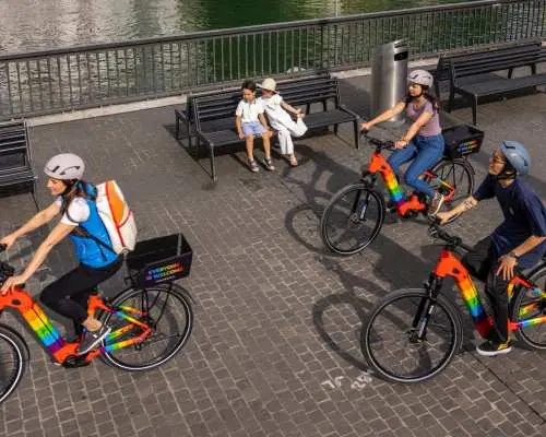 Sightseeing Zurich by e-bike