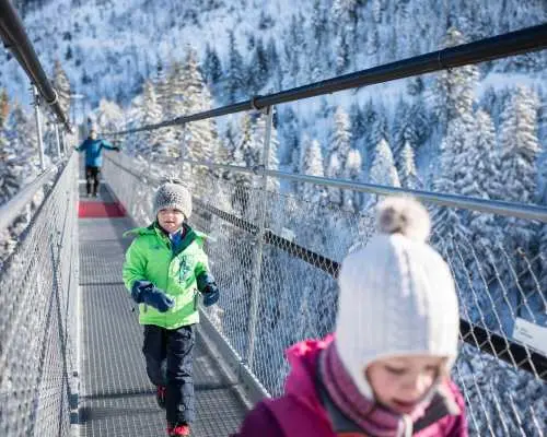 Ticket rotating gondola Sattel-Mostelberg