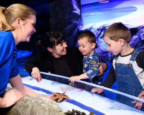 Sea Life London Aquarium tickets