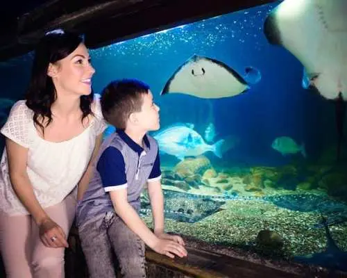 Sea Life London Aquarium tickets