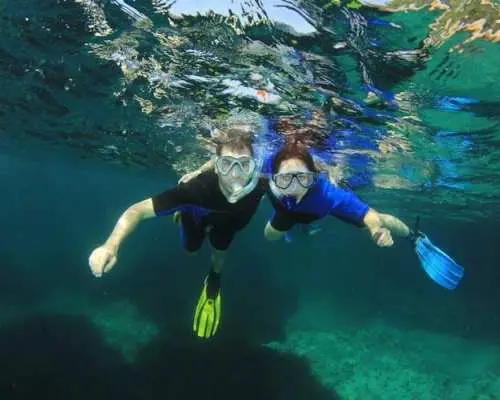 Individual snorkeling excursion by speedboat in Mallorca