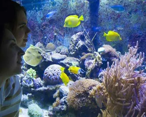 Barcelona Aquarium skip-the-line tickets
