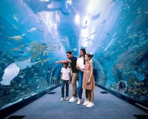 哈利法塔124楼、125楼及杜拜水族馆门票