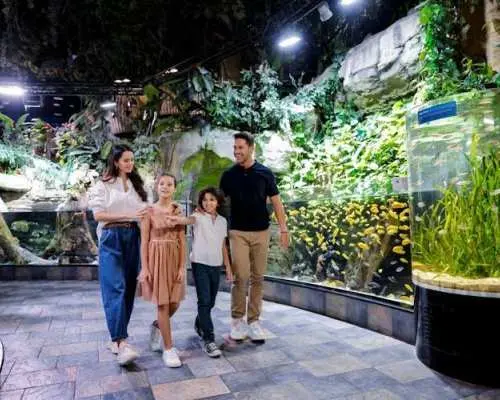 哈利法塔124楼、125楼及杜拜水族馆门票