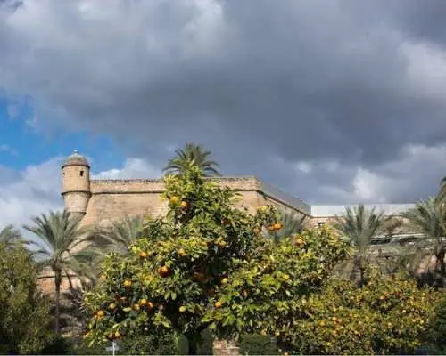 Palma de Mallorca small-group guided walking tour