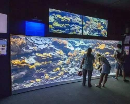 Aquarium of Paris entry ticket