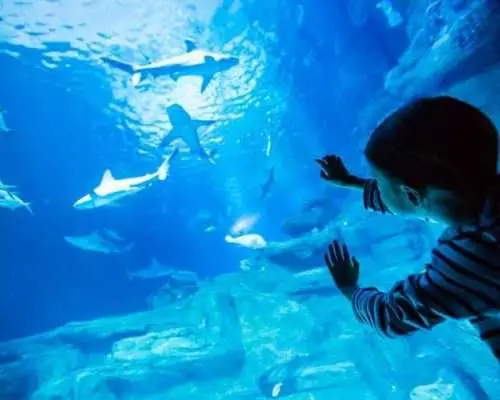 Aquarium of Paris entry ticket