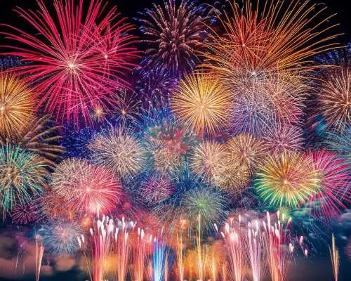 【Guaranteed departure】Koga Fireworks Festival, Peach Picking and Gelato Day Bus Tour from Shinjuku