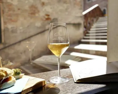 Wine tasting in Venice