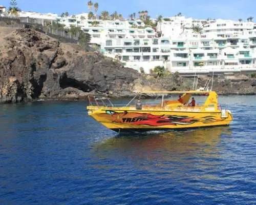 Lanzarote dolphin-watching mini cruise