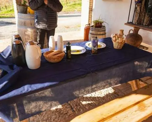 Olive oil farm tour from Seville